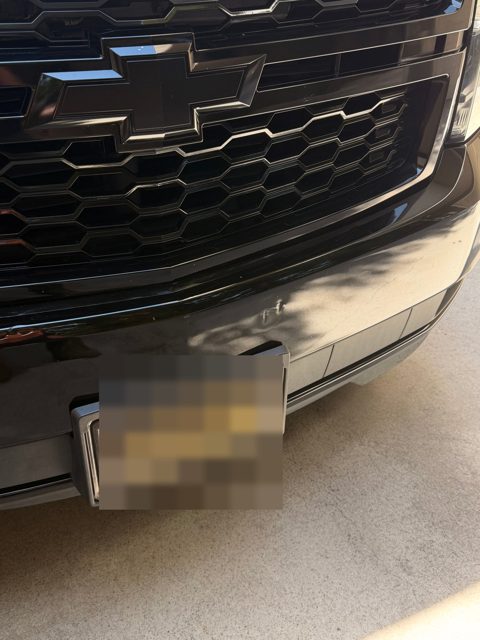Front grille and plate